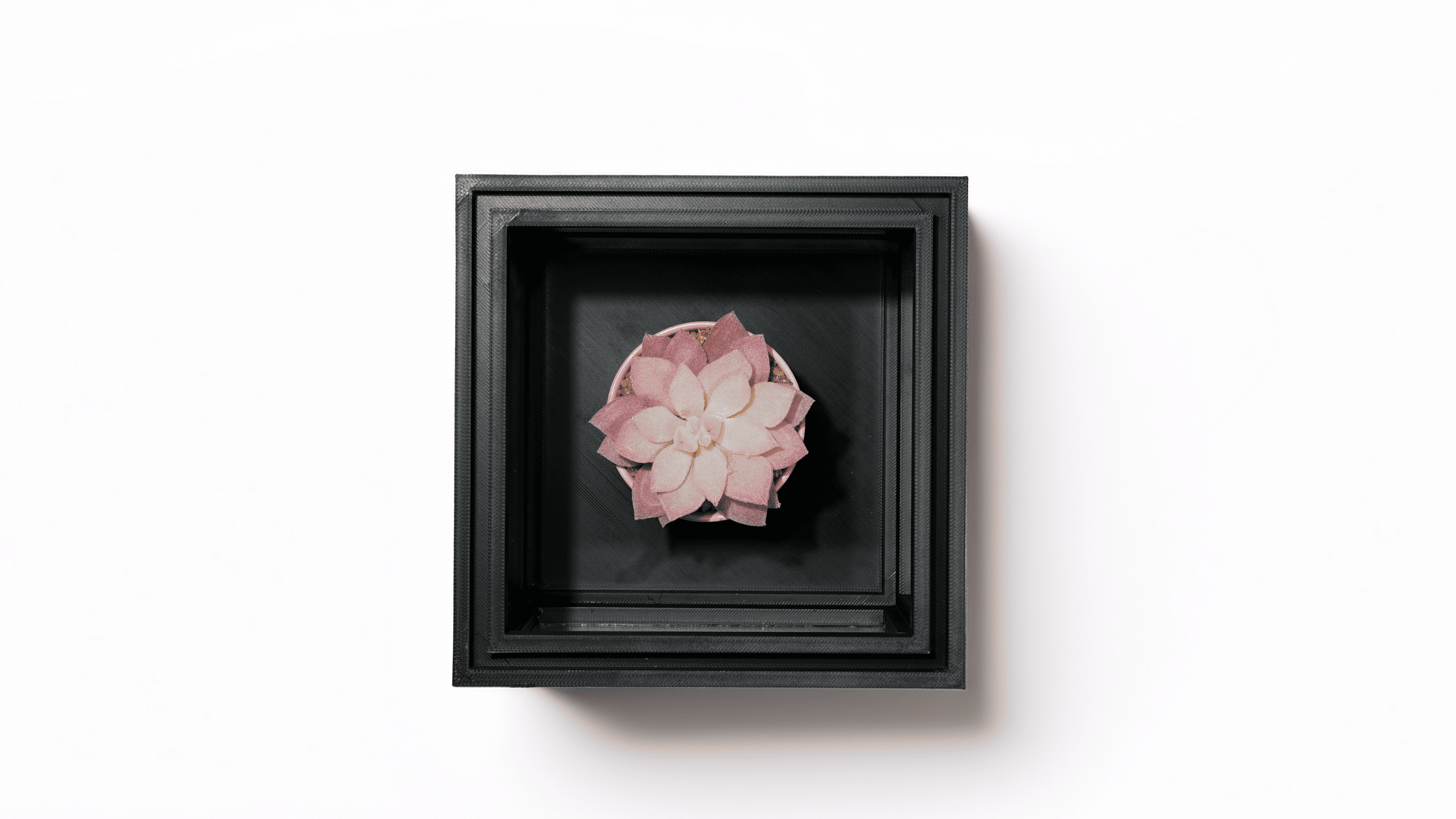 Boîte de rangement & décoration 3D